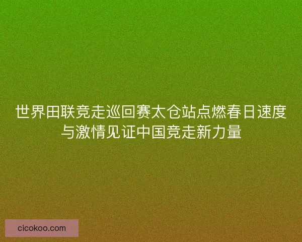世界田联竞走巡回赛太仓站点燃春日速度与激情见证中国竞走新力量